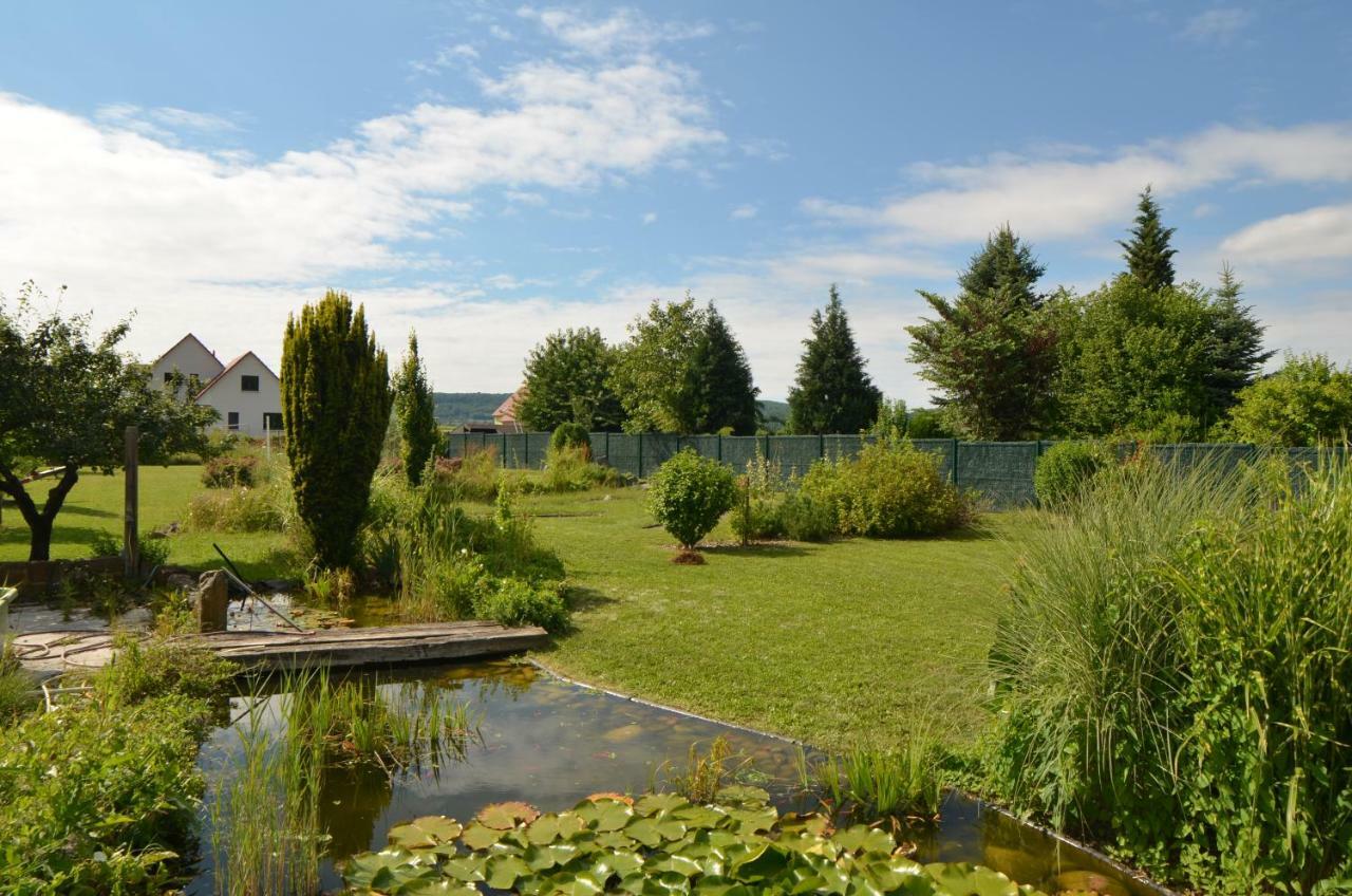 Gite Cigogne Odratzheim Exterior photo